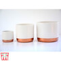 Two-Tone Ceramic Pots - White/Rose Gold
