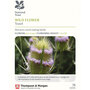 Teasel (National Trust)