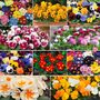 Winter Bedding Super Saver Collection