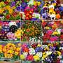 Winter Rainbow Bumper Bedding Collection