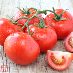 Tomato 'Super Marmande' - Seeds