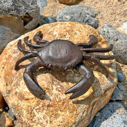 Crab Garden Ornament in Cast Iron