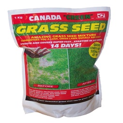 Canada Green grass seed 1kg