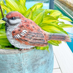 Large Sparrow Bird Garden Ornament