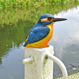 Large Kingfisher Bird Garden Ornament