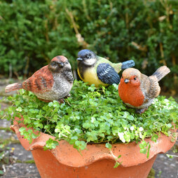 3 Garden Birds on Sticks Outdoor Ornaments