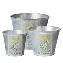 Set of 3 Tin Mimosa Flower Plant Pots