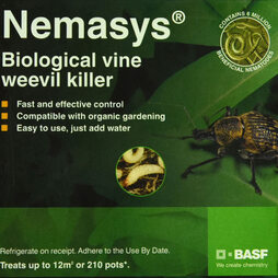 Nematode Vine Weevil Killer 12m² (Spring and Autumn)