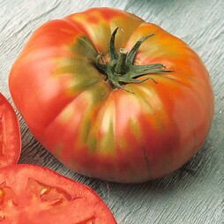 Tomato 'Brandywine' - Heritage