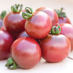 Tomato 'Rosella' - Seeds
