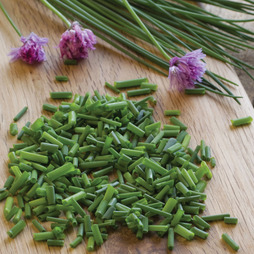 Chives - Seeds