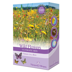 Wildflowers 'Ultimate Mix' - Seed Scatter Pack