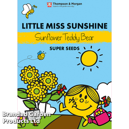 Mr. Men™ Little Miss™ Sunflower 'Teddy Bear' - Seeds