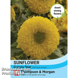 Sunflower 'Gummy Bear' - Seeds
