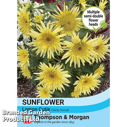 Sunflower 'Lemon Cutie' F1 - Seeds