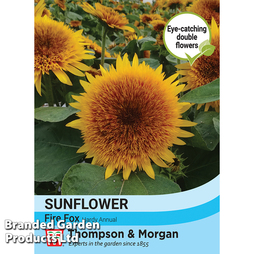 Sunflower 'Fire Fox' - Seeds