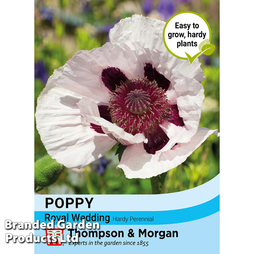Poppy 'Royal Wedding' - Seeds