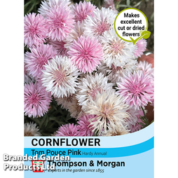 Cornflower 'Tom Pouce Pink' - Seeds