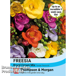 Freesia 'Royal Crown Mix' - Seeds