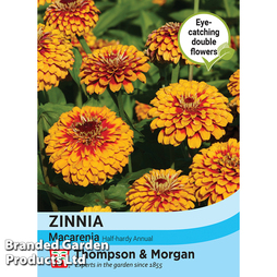 Zinnia 'Macarenia' - Seeds
