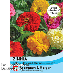 Zinnia 'Dahlia Flowered Mixed' - Seeds