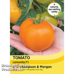 Tomato 'Lemonita' F1 - Seeds