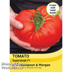 Tomato 'Supersteak' F1 - Seeds