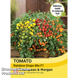 Tomato 'Rainbow Drops Mix' F1 - Seeds