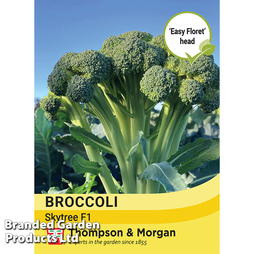 Broccoli (Easy Floret) 'Skytree' F1 - Seeds