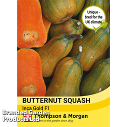 Butternut Squash 'Inca Gold' F1 - Seeds