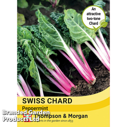 Swiss Chard 'Peppermint' - Seeds