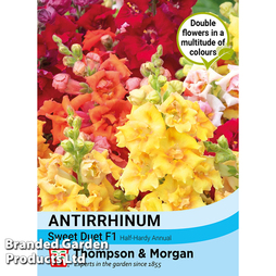 Antirrhinum 'Sweet Duet' F1 - Seeds