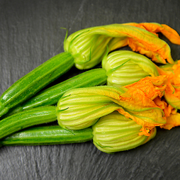Courgette - Seeds