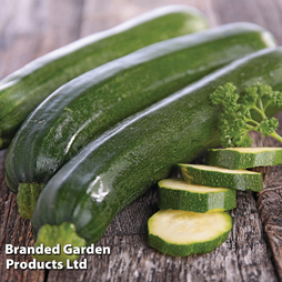 Courgette - Seeds