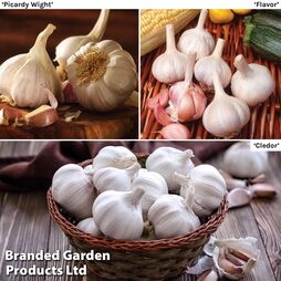 Garlic Lovers Collection (Spring Planting)