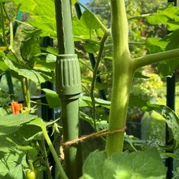 Telescopic Extendable Tomato & Cucumber Climbing Plant Support Stakes