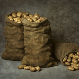Hessian Potato Sacks