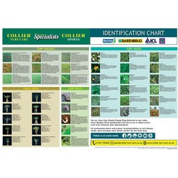 Weed, Disease and Pest Identification Wall Chart