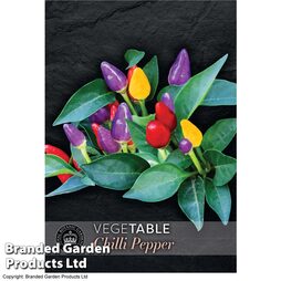 Chilli Pepper 'Chilli Spangles' - Kew Vegetable Seed Collection