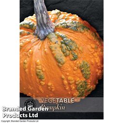 Pumpkin 'Zombie' - Kew Vegetable Seed Collection