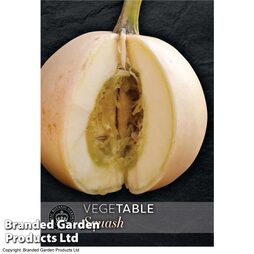 Squash 'Buffy Ball' F1 Hybrid (Winter) - Kew Vegetable Seed Collection