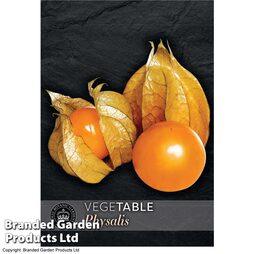 Physalis peruviana (Golden Berry) - Kew Vegetable Collection