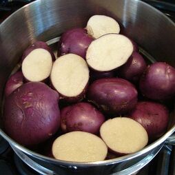 Potato Arran Victory Organic