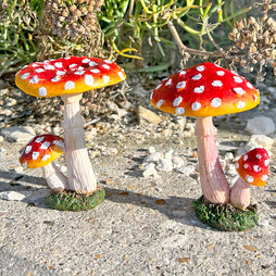 Pair of Garden Mushrooms