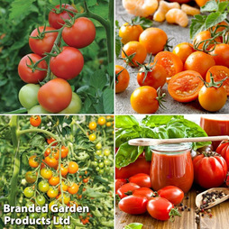 Nurseryman's Choice Grafted Tomato Collection