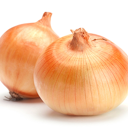 Onion 'Carballo' (Spring Planting, Heat Treated)