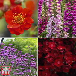 Rouge Perennial Collection