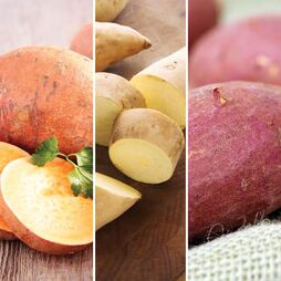 Sweet Potato Speciality Collection