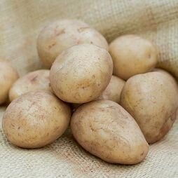 Potato Patio Growing Refill (Large)