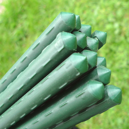 Plant Stake & Tomato Support Garden Canes - 1.2m / 47 Long